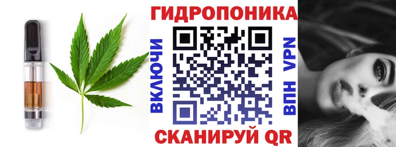 Canna-Cookies конопля  как найти закладки  Санкт-Петербург 