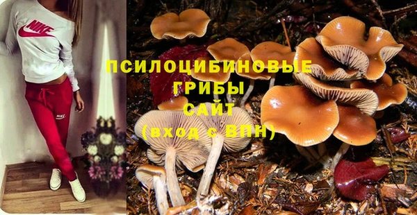 не бодяженный Наволоки