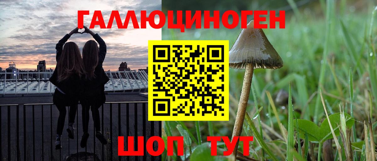 Галлюциногенные грибы Magic Shrooms Санкт-Петербург