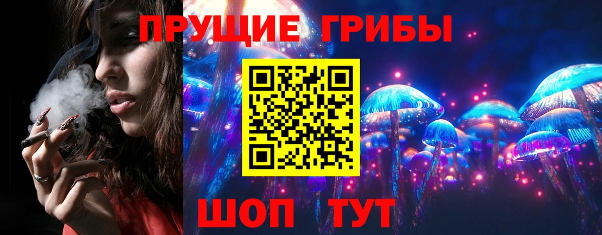 Галлюциногенные грибы Psilocybine cubensis  Вход с VPN  Санкт-Петербург  Псилоцибиновые грибы Psilocybe 